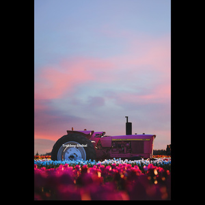 Easy Ride (Instrumental)