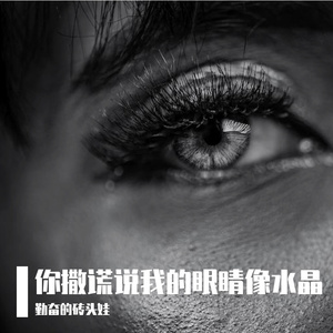 你撒谎说我的眼睛像水晶