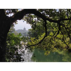 圆我的愿（翻自 曾小敏）