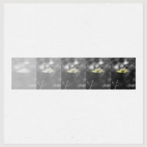 Flowering