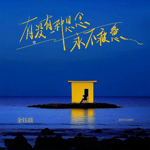 有没有一种思念永不疲惫 (伴奏)