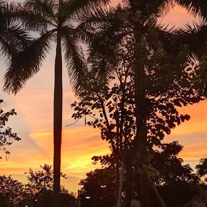 文雅正健成长记