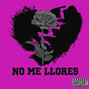 No Me Llores