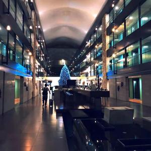 阿尔茨海默的爱