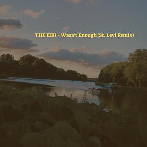 Wasn’t Enough (feat. St. Levi) (Remix)