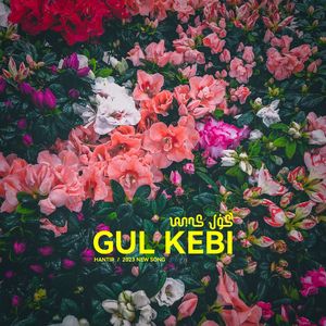 Gul Kebi