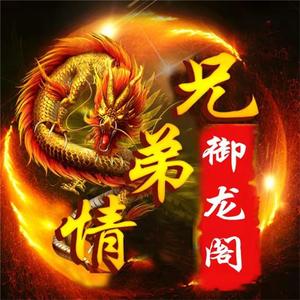 御龙阁兄弟情
