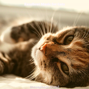 Inspiring (Sleeping Cats)