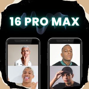 16 Pro Max