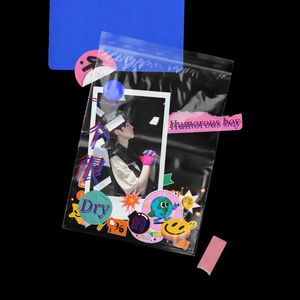 一个很Dry (拽)的Humorous Boy