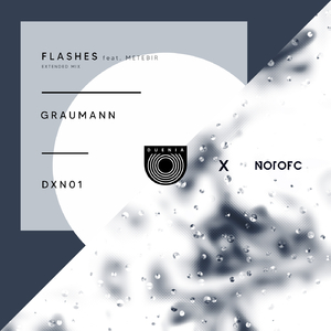 Flashes (Extended Mix)