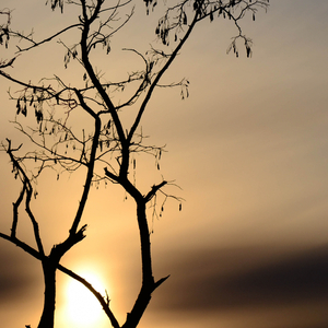 Lay Back (Sea Sound)