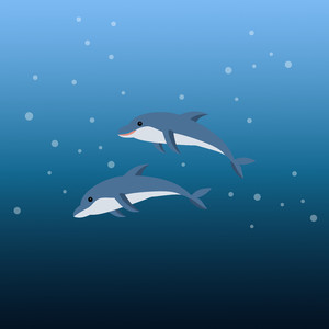 Dolphins