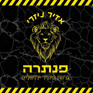 פנתרה (גרסת בית"ר)