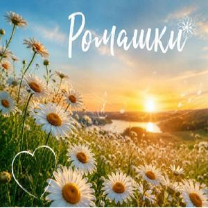 Ромашки