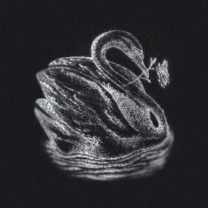 The Swan (feat. Odetta Hartman)