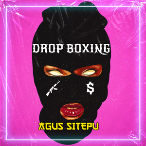 DROP BOXING