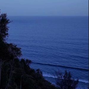 IMG_20220411_1154060