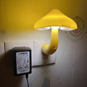 我又何时清醒过