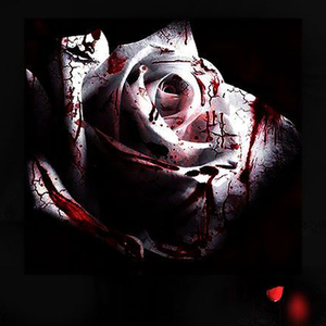 I am here（翻自 伊藤由奈）