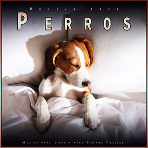 Música para Perros