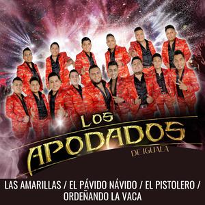 Las Amarillas / El Pávido Návido / El Pistolero / Ordeñando la Vaca