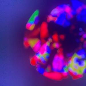 Set Da Trend (feat. LilMC & Flying J) (Special Version)