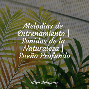 Corrientes Sinuosas