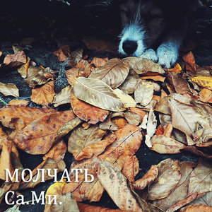 Молчать