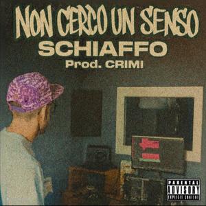 Non cerco un senso