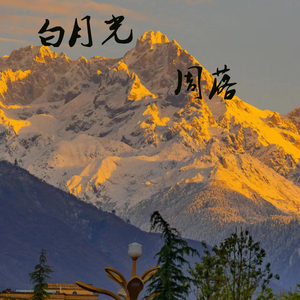 白月光