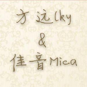 是非题（翻自 张小伙）