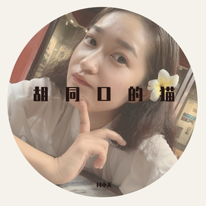 胡同口的猫 伴奏