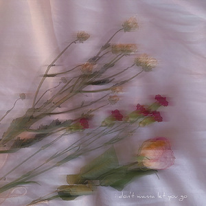 i don't wanna let you go