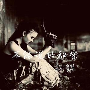 不能说的秘密