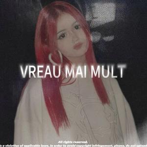 VREAU MAI MULT (KazyX Remix)