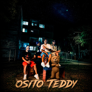 Osito teddy
