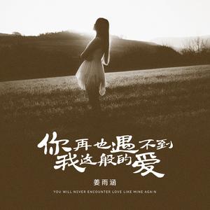 你再也遇不到我这般的爱