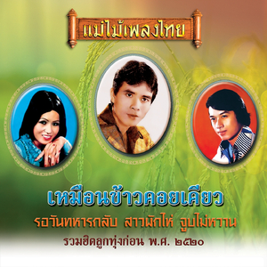 ป้ายแขวนคอ