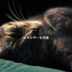 Lively Melbourne Coffee Roasters