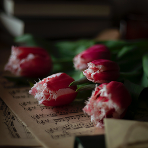 我说我忘了 不痛了