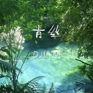 青丝（DJ德朋版）0.8