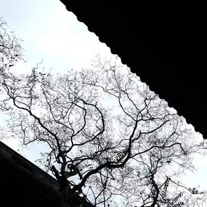 [FREE] "我害怕" SASIOVERLXRD x 唤水剑 Type Beat