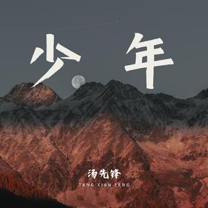 少年