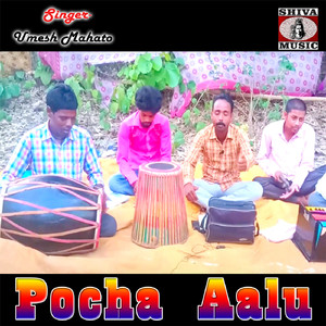 Pocha Aalu