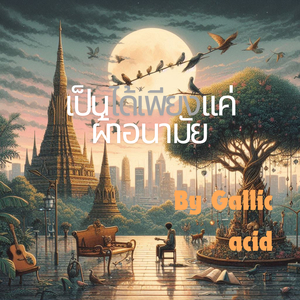 เป็นได้เพียงแค่ผ้านอนามัย