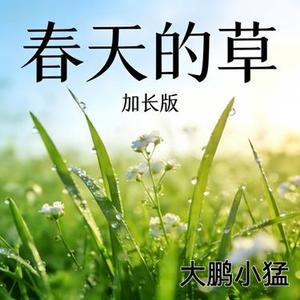 春天的草