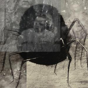 Endovalium (feat. Gruftie)