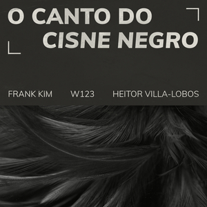 O Canto Do Cisne Negro (W123)