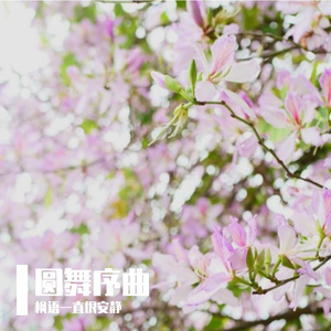圆舞序曲